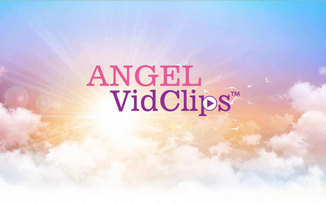 ANGEL VidClip™ 3